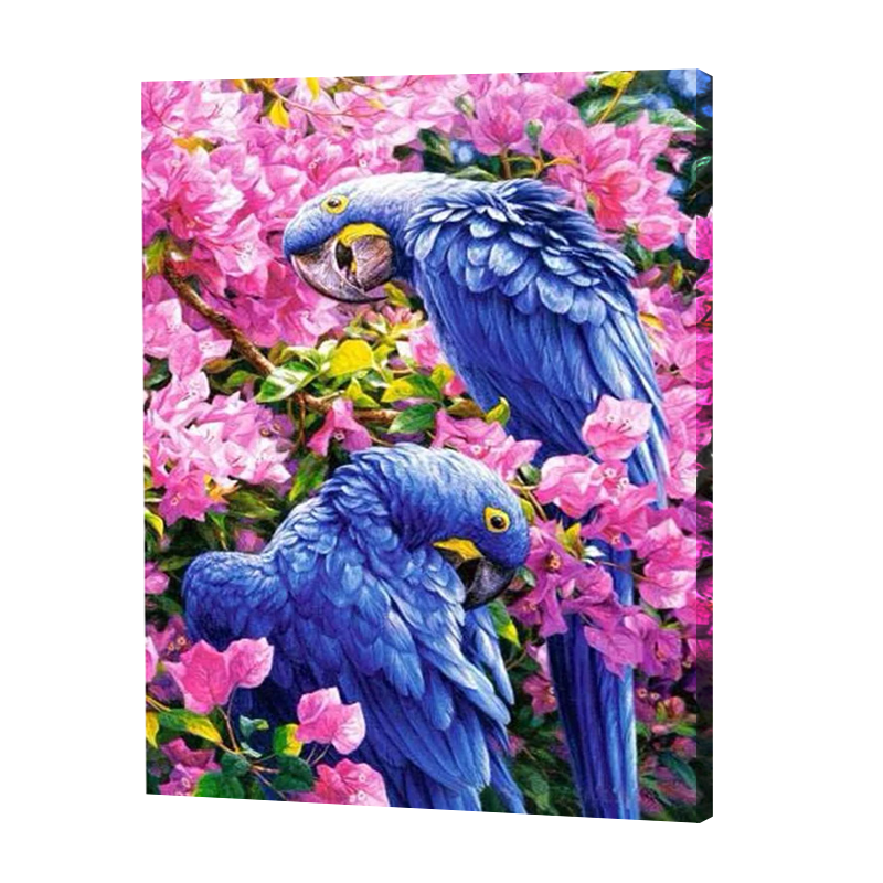 Diamond Painting Vogels Diamond Painting Hub Nederland
