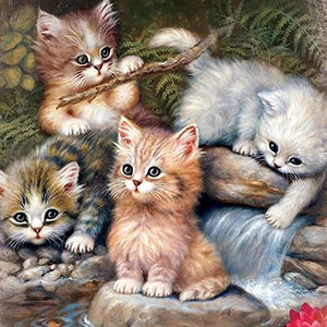 Katten en kittens Diamond Painting: Een Creatief Genot Voor Kattenliefhebbers