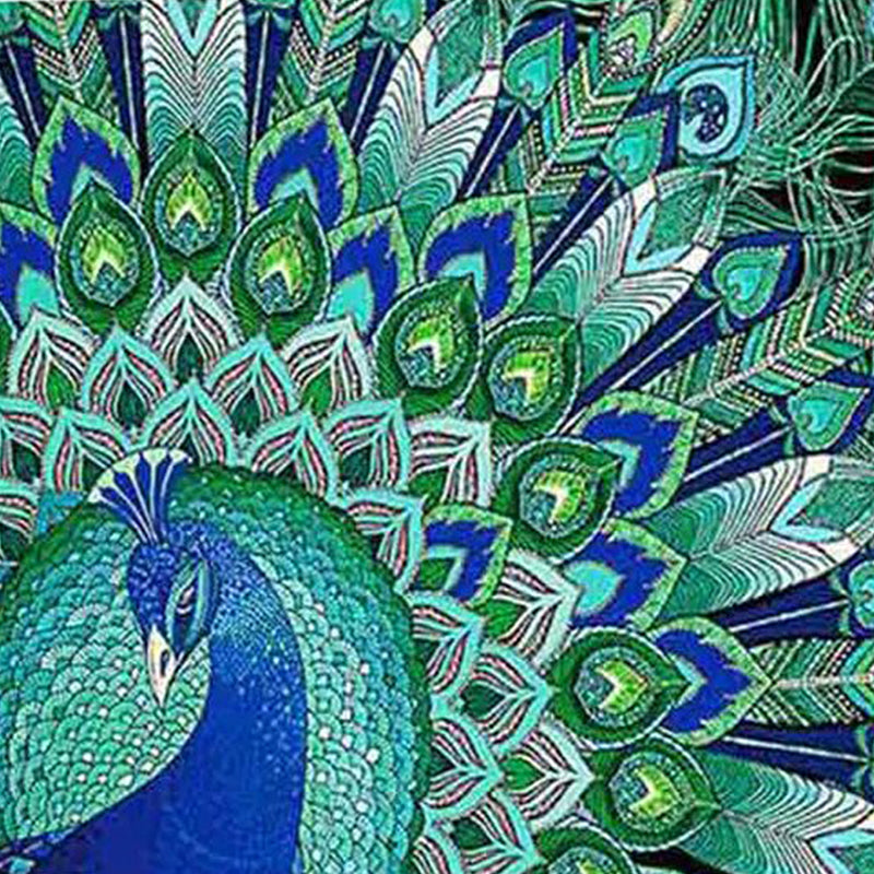 Kunst die je laat ontsnappen naar een wereld van veren en kleur