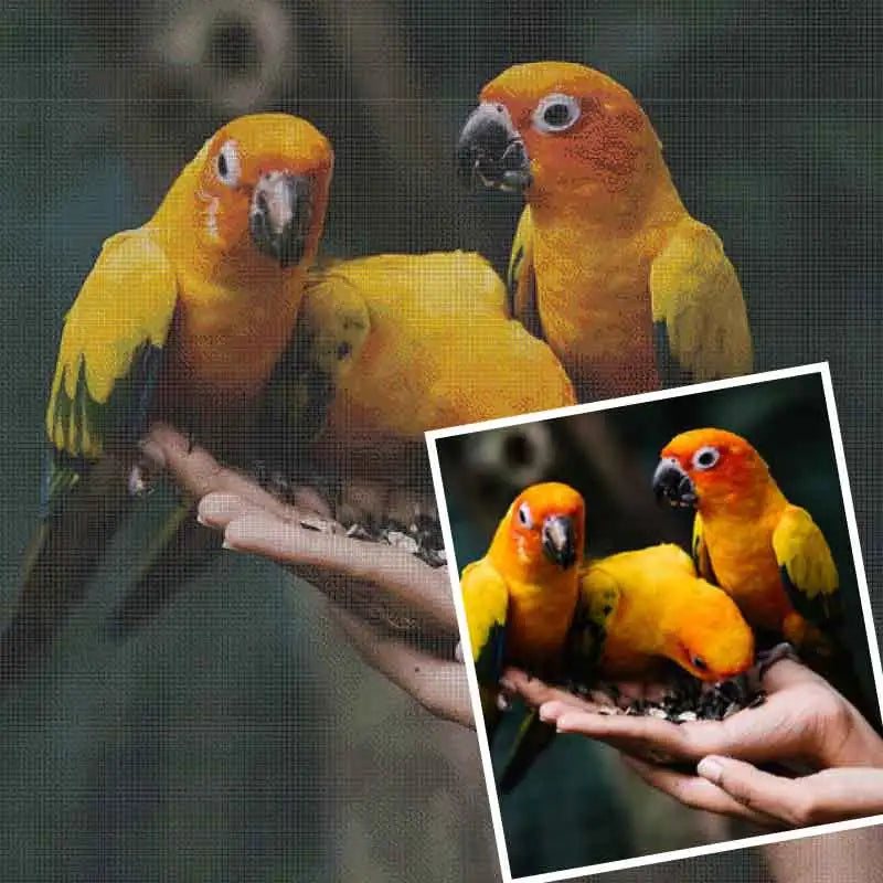 Hoe kan een Van Gogh Diamond Painting kunstgeschiedenis tot leven brengen?