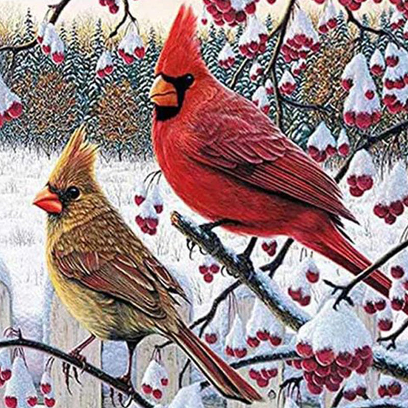 Kardinaal Vogel| Diamond Painting