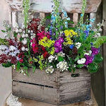 Afbeelding in Gallery-weergave laden, Kleurrijke Bloemen In Een Doos| Diamond Painting
