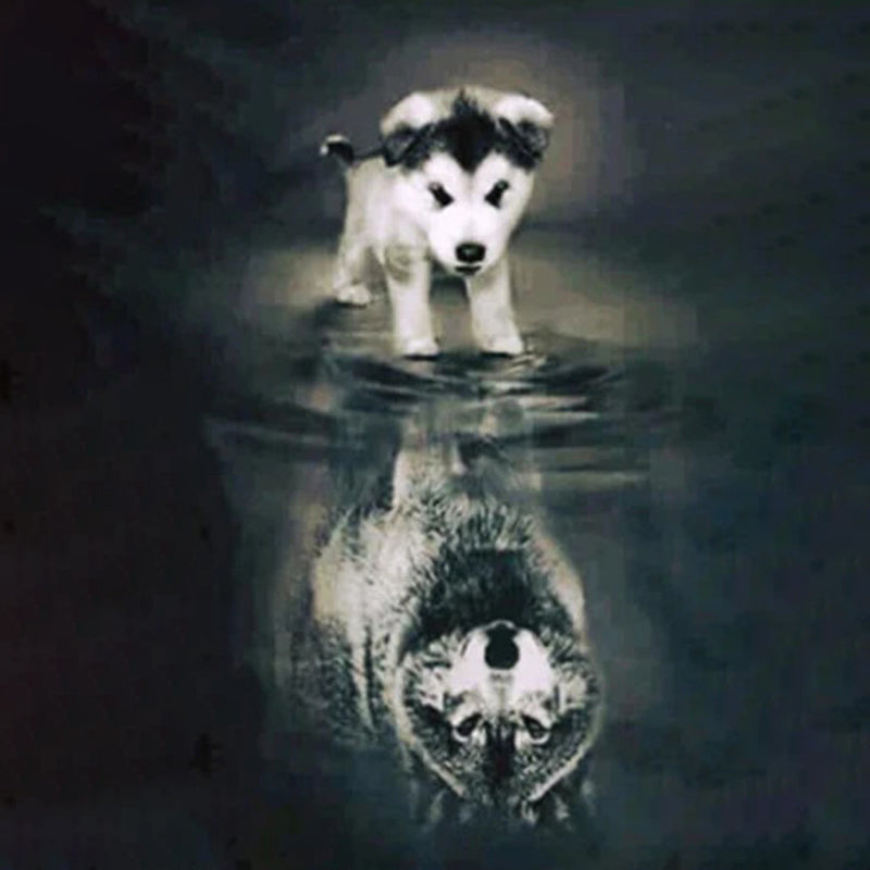 Husky Wolf Reflectie| Diamond Painting