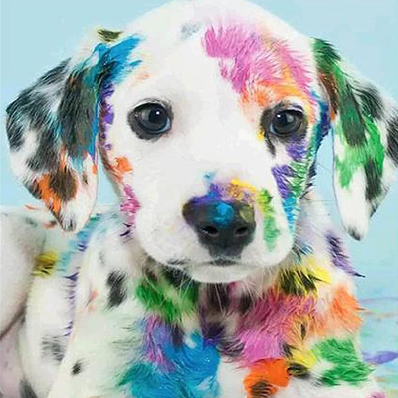 Geschilderde Hond| Diamond Painting