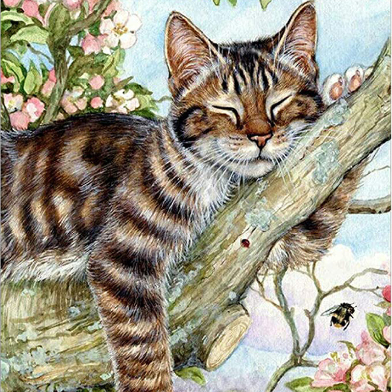 Slapende Kat| Diamond Painting