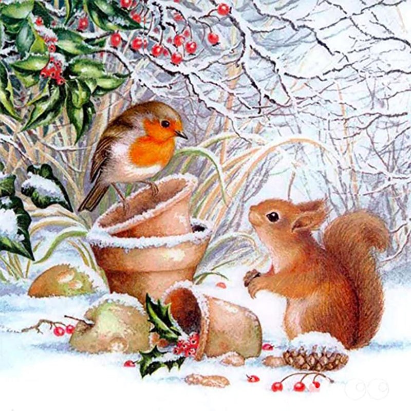 Squirel En Vogel| Diamond Painting