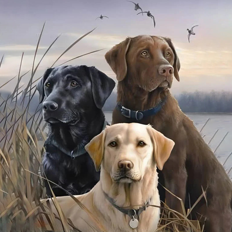 Drie Honden In Een Veld| Diamond Painting