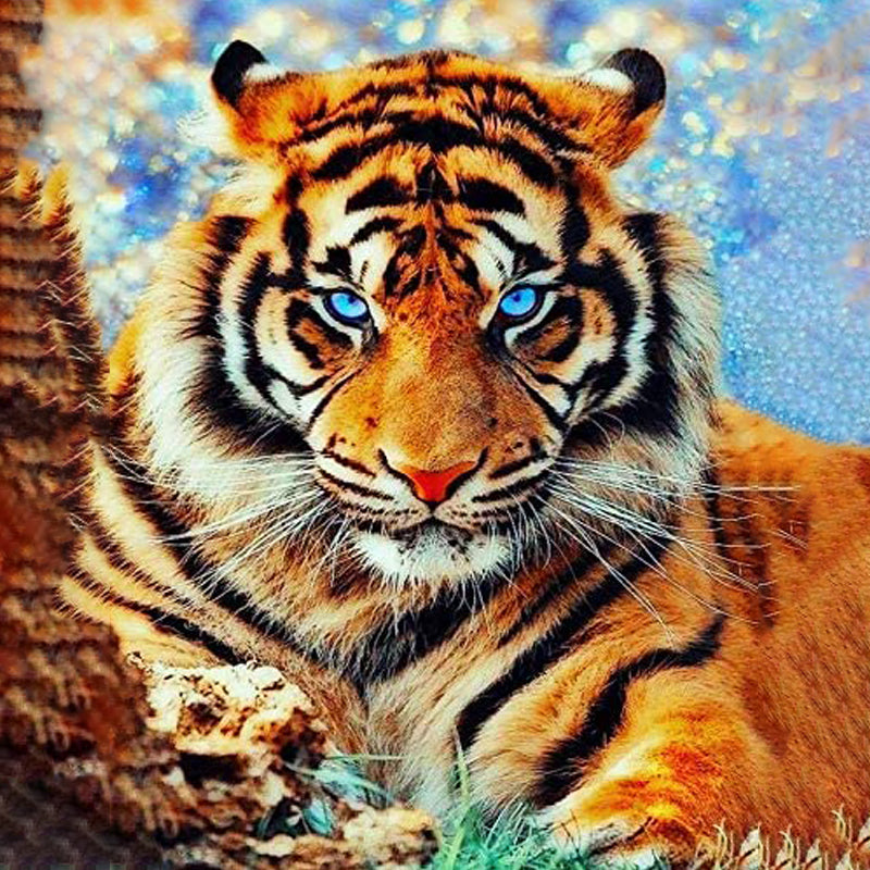 Tijger Met Blauwe Ogen| Diamond Painting