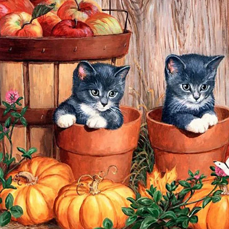 Twee Kittens Met Pompoen| Diamond Painting