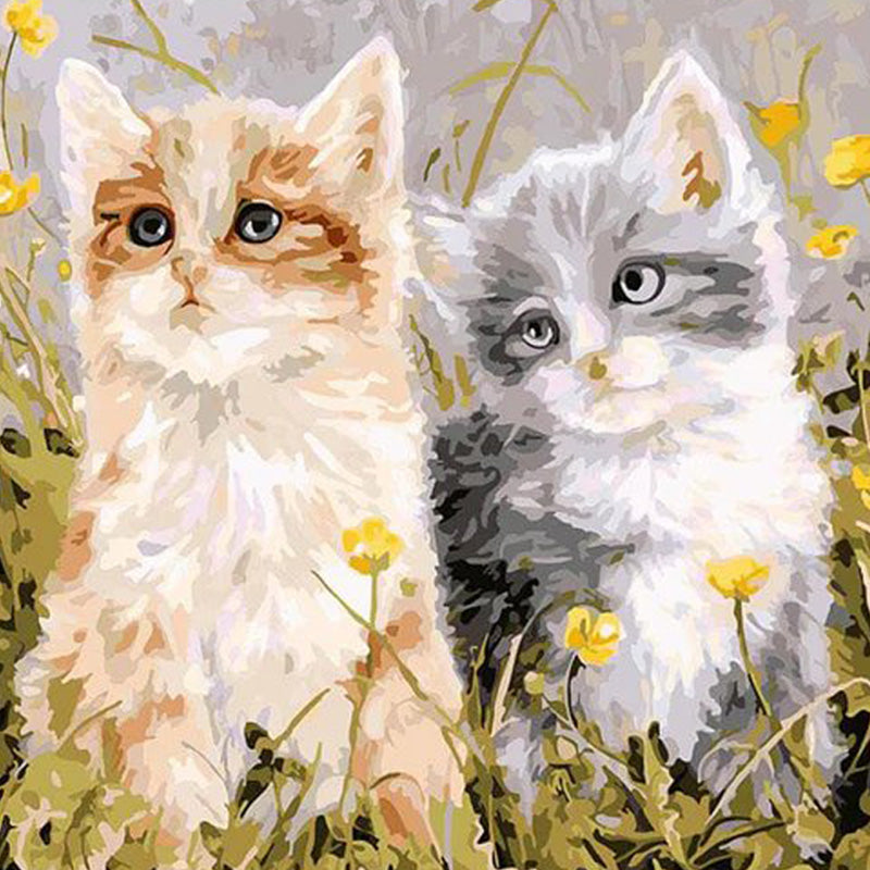 Twee Kleine Kittens| Diamond Painting