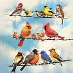 Afbeelding in Gallery-weergave laden, Verscheidenheid Aan Vogels| Diamond Painting
