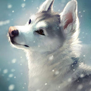 Witte Wolf In De Sneeuw| Diamond Painting