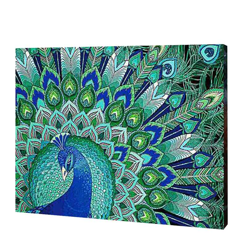 Peacock Schoonheid| Diamond Painting