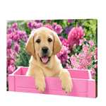 Afbeelding in Gallery-weergave laden, Hond In Een Roze Doos| Diamond Painting
