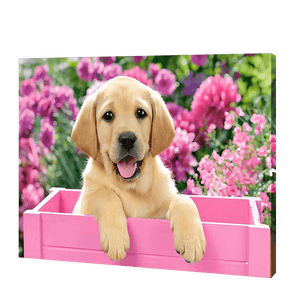 Hond In Een Roze Doos| Diamond Painting