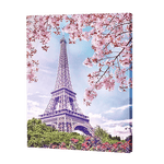 Afbeelding in Gallery-weergave laden, Eiffeltoren Landschap Schoonheid| Diamond Painting

