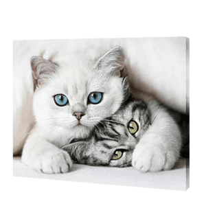Vriendelijke Katten| Diamond Painting