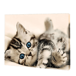 Afbeelding in Gallery-weergave laden, Het Kitten Met Blauwe Ogen| Diamond Painting
