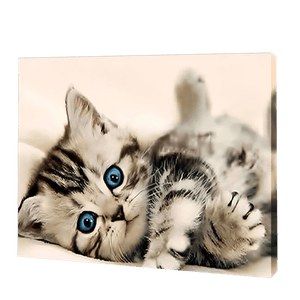 Het Kitten Met Blauwe Ogen| Diamond Painting