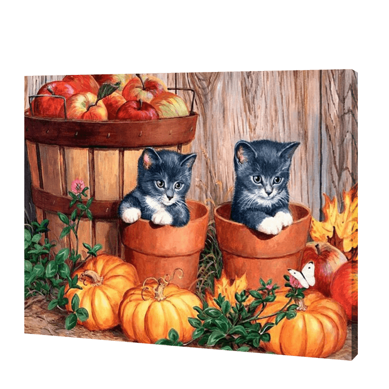 Twee Kittens Met Pompoen| Diamond Painting