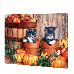 Twee Kittens Met Pompoen| Diamond Painting