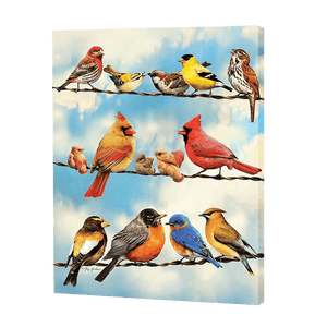 Verscheidenheid Aan Vogels| Diamond Painting