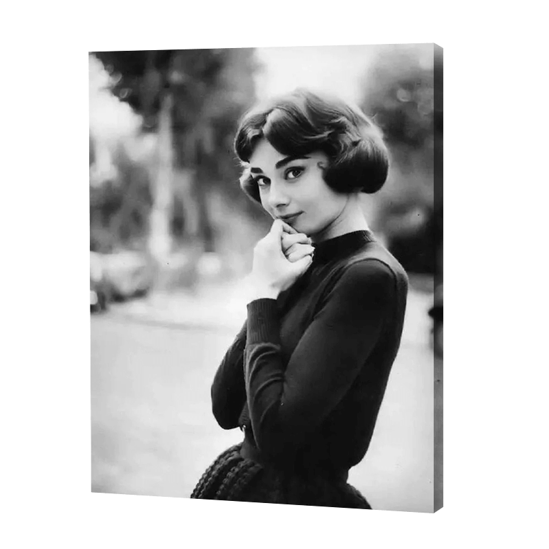 Audrey Hepburn| Diamond Painting