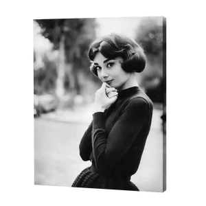 Audrey Hepburn| Diamond Painting