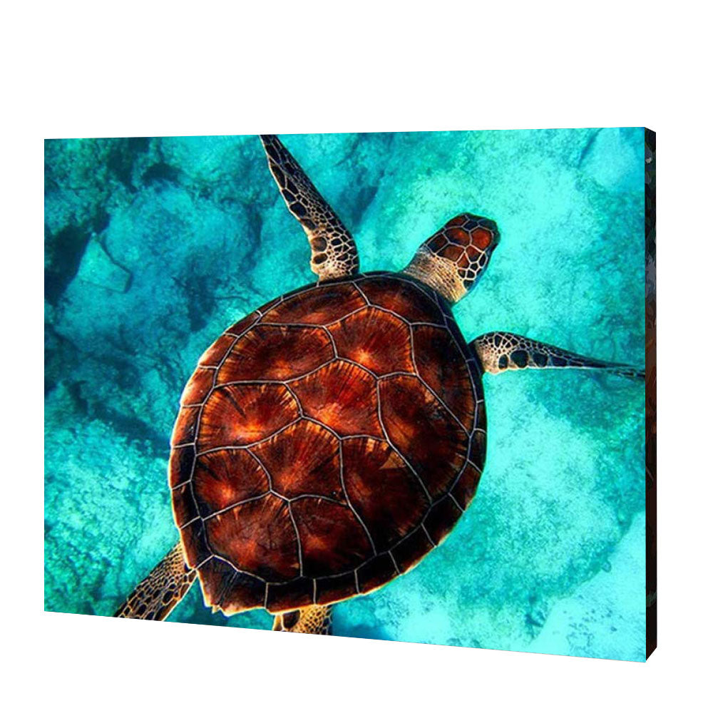 Zwemmen Zeeschildpad| Diamond Painting